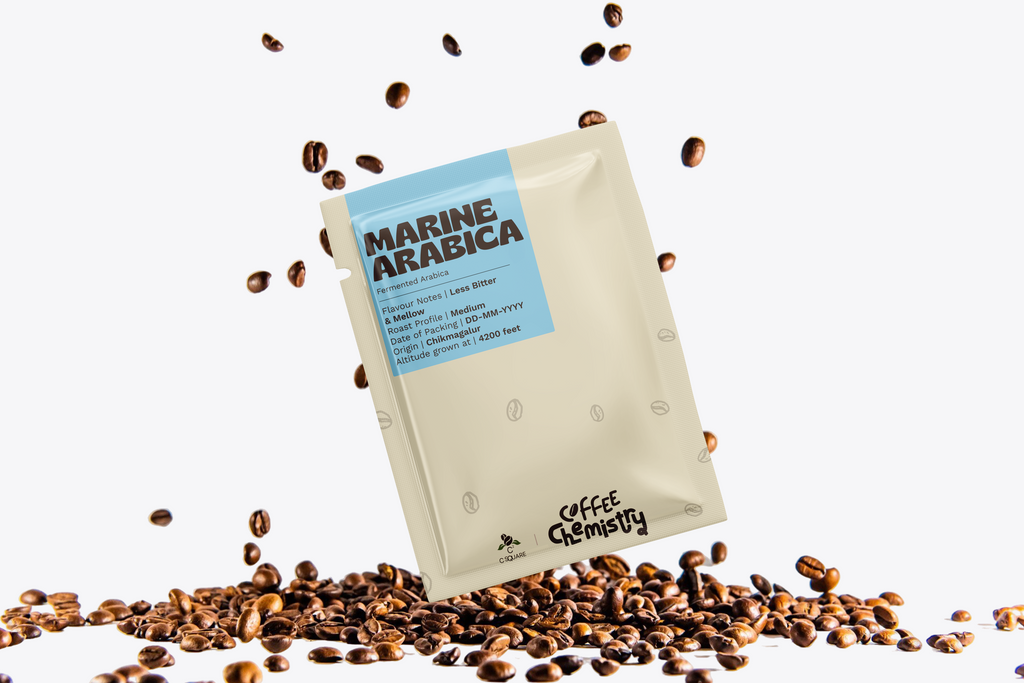 Marine Fermented Arabica Drip Bag