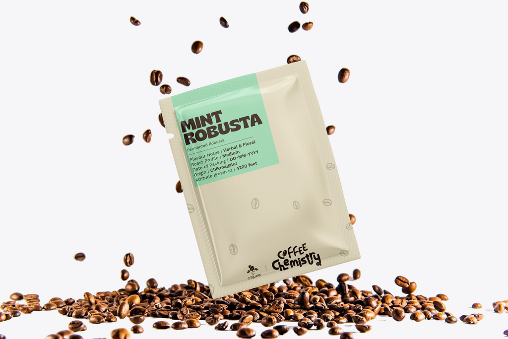 Mint Fermented Robusta Drip Bag